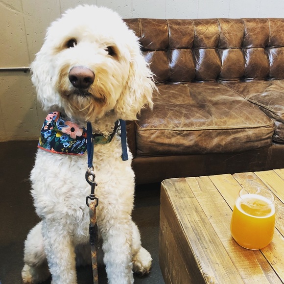 Meet your Posher, Sarah - Picture 1 of 1